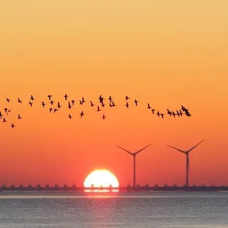Heerenkeet 4 Pers Appartement Aan De Oosterschelde Kerkwerve Esterno foto
